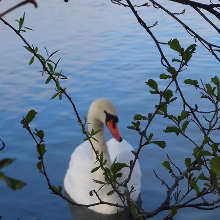 Refugium Am Alpehytte Seeboden